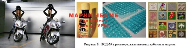 гашик Магас