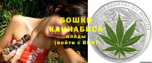 молекула духа Лихославль