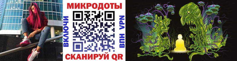 что такое   Навашино  Псилоцибиновые грибы MAGIC MUSHROOMS 